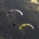 Sky Paragliders - Apollo 3 light