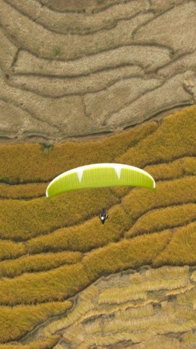 Ein Gleitschirm sucht nach Thermik über den Reisfeldern im Kangra-Valley bei Bir-Billing.