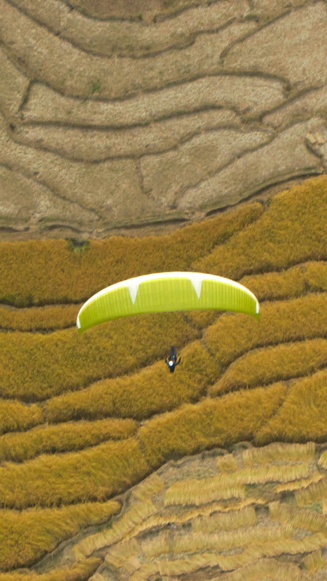 Ein Gleitschirm sucht nach Thermik über den Reisfeldern im Kangra-Valley bei Bir-Billing.