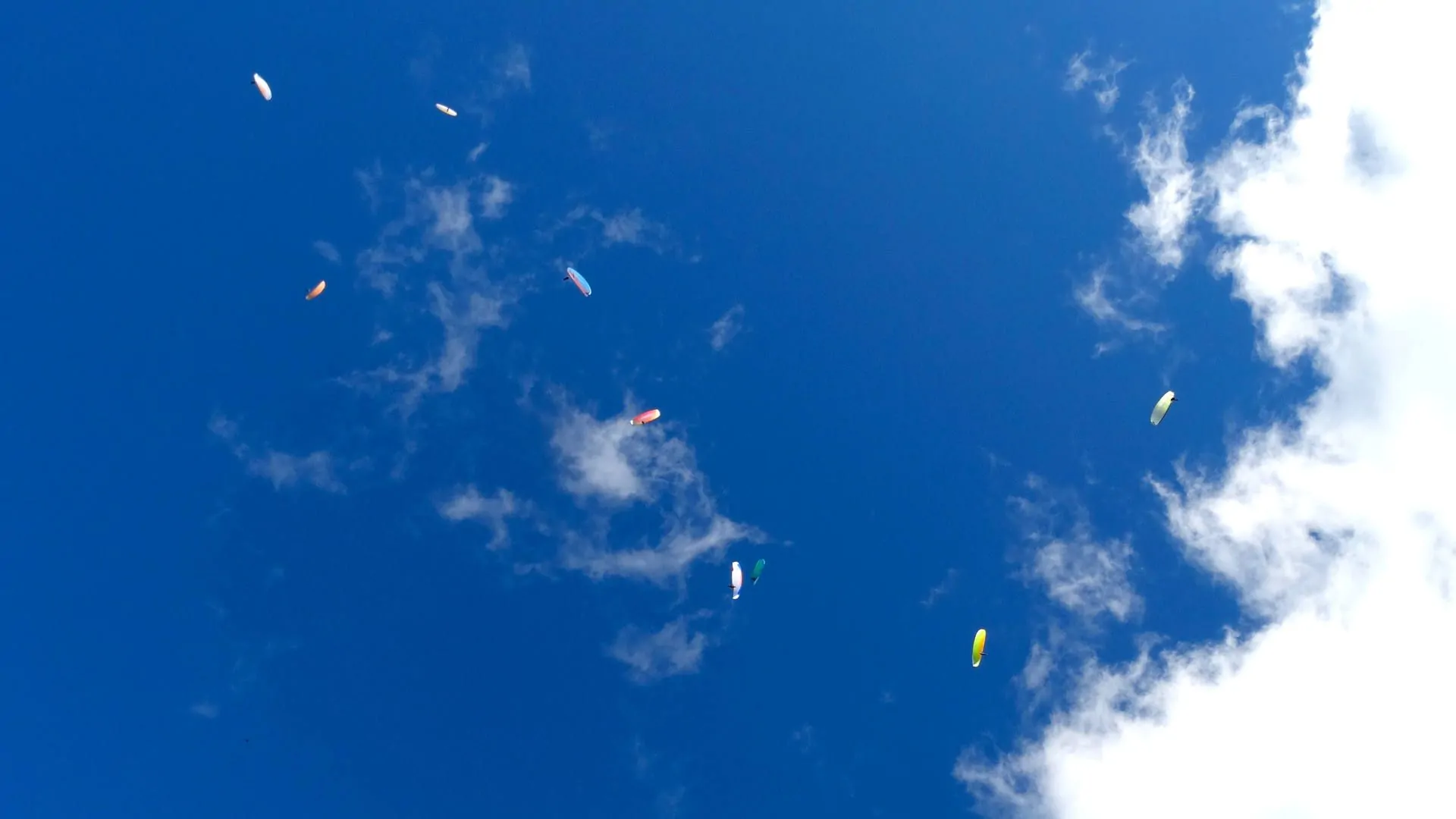 gleitschirm-thermikschlauch-aufdrehen Gleitschirme drehen in der Thermik bis zur Wolkenbasis auf, bevor sie die gewonnene Höhe im Gleitflug zur nächsten Aufwindquelle in Strecke umsetzen.