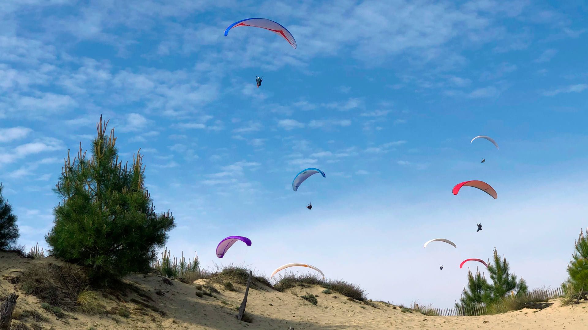 Vor dem Startplatz Petit Nice an der Dune du Pyla viel Verkehr mit acht Gleitschirmen gleichzeitig auf engem Raum.